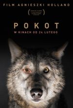 Plakat filmu Pokot